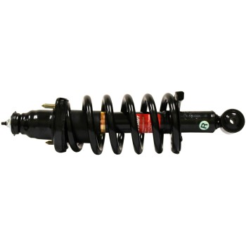 Suspension Strut and Coil Spring Assembly