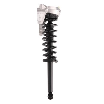Suspension Strut and Coil Spring Assembly