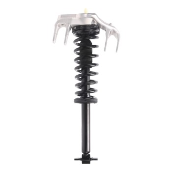 Suspension Strut and Coil Spring Assembly