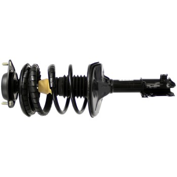 Suspension Strut and Coil Spring Assembly