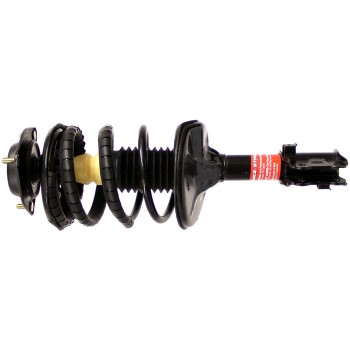 Suspension Strut and Coil Spring Assembly