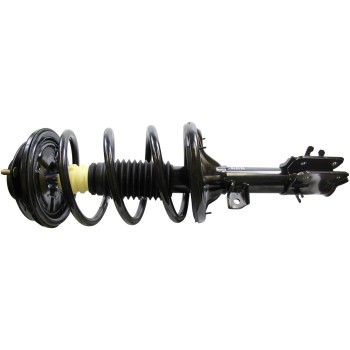 Suspension Strut and Coil Spring Assembly