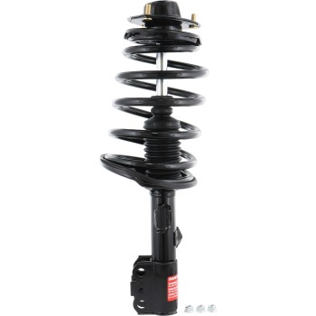 Suspension Strut and Coil Spring Assembly