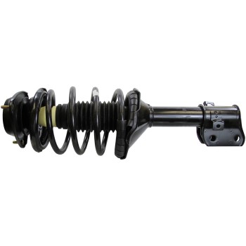 Suspension Strut and Coil Spring Assembly