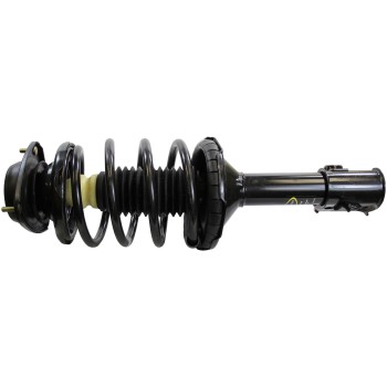 Suspension Strut and Coil Spring Assembly