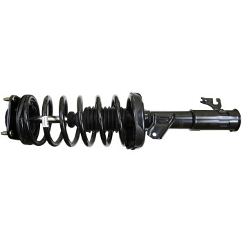 Suspension Strut and Coil Spring Assembly