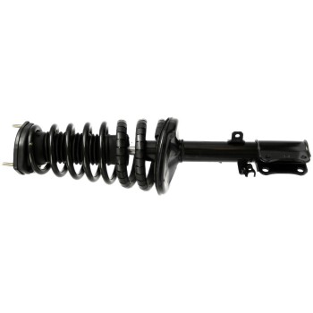 Suspension Strut and Coil Spring Assembly