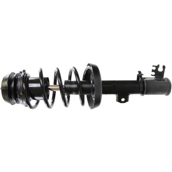 Suspension Strut and Coil Spring Assembly