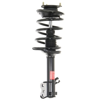 Suspension Strut and Coil Spring Assembly