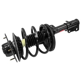 Suspension Strut and Coil Spring Assembly