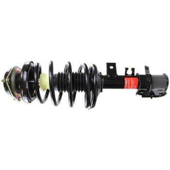 Suspension Strut and Coil Spring Assembly