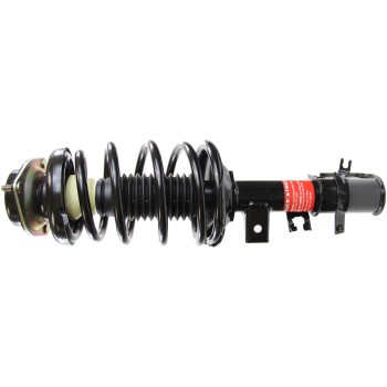 Suspension Strut and Coil Spring Assembly