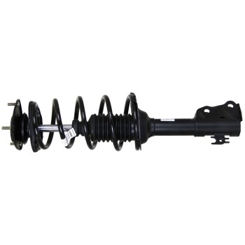 Suspension Strut and Coil Spring Assembly