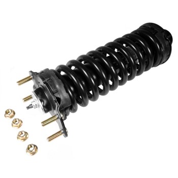 Suspension Strut and Coil Spring Assembly
