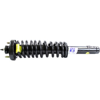 Suspension Strut and Coil Spring Assembly