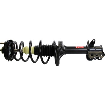 Suspension Strut and Coil Spring Assembly