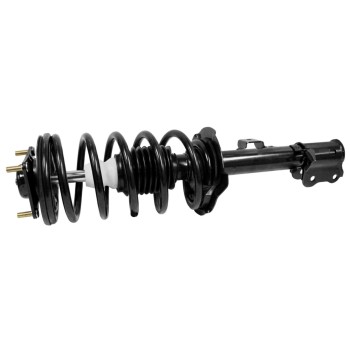 Suspension Strut and Coil Spring Assembly