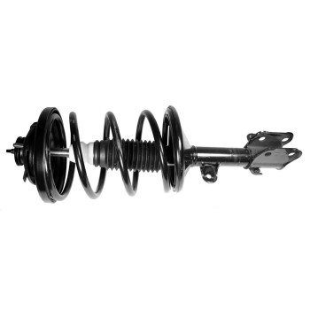 Suspension Strut and Coil Spring Assembly