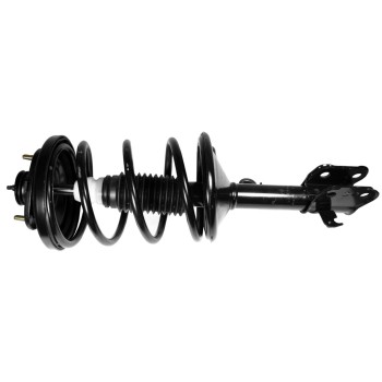 Suspension Strut and Coil Spring Assembly