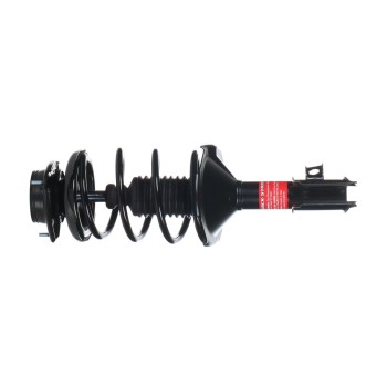 Suspension Strut and Coil Spring Assembly