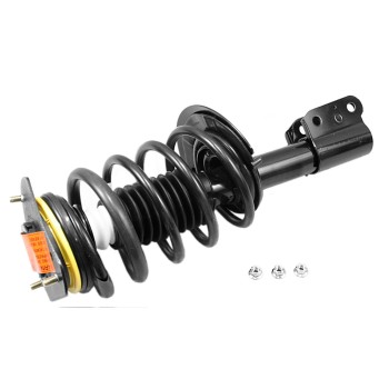 Suspension Strut and Coil Spring Assembly