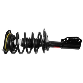 Suspension Strut and Coil Spring Assembly