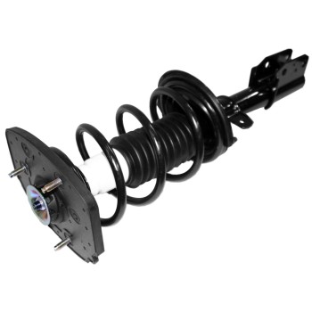 Suspension Strut and Coil Spring Assembly