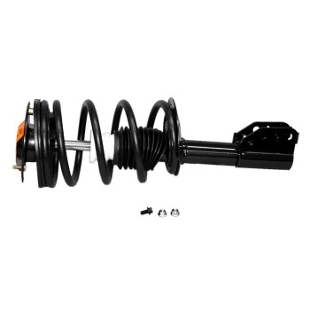 Suspension Strut and Coil Spring Assembly