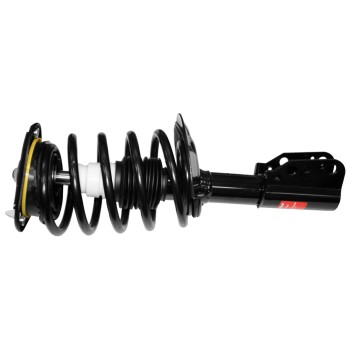 Suspension Strut and Coil Spring Assembly