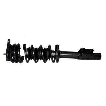 Suspension Strut and Coil Spring Assembly