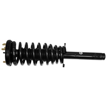 Suspension Strut and Coil Spring Assembly