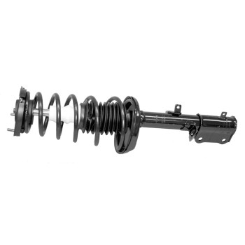 Suspension Strut and Coil Spring Assembly