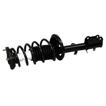 Suspension Strut and Coil Spring Assembly