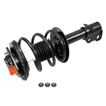 Suspension Strut and Coil Spring Assembly