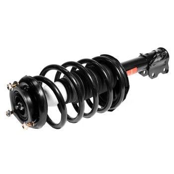 Suspension Strut and Coil Spring Assembly
