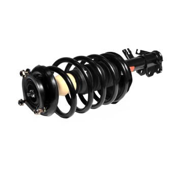 Suspension Strut and Coil Spring Assembly
