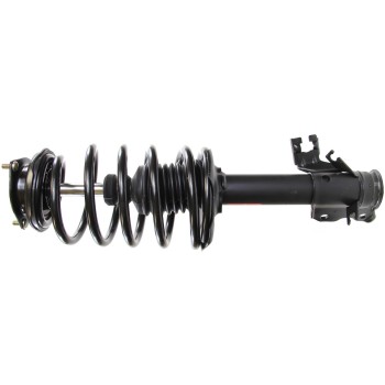 Suspension Strut and Coil Spring Assembly