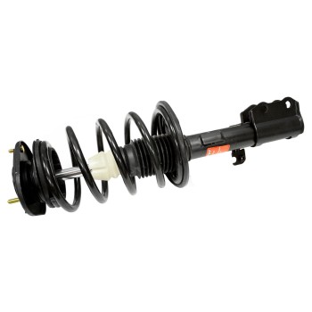 Suspension Strut and Coil Spring Assembly