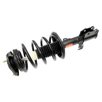 Suspension Strut and Coil Spring Assembly