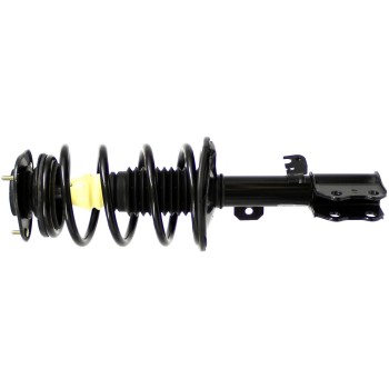 Suspension Strut and Coil Spring Assembly