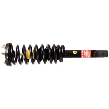 Suspension Strut and Coil Spring Assembly