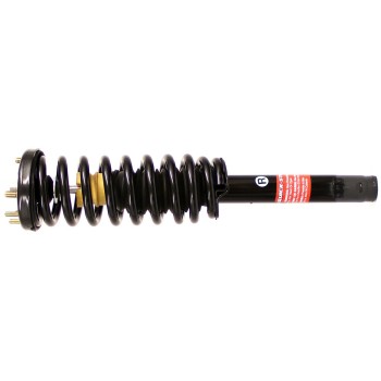 Suspension Strut and Coil Spring Assembly
