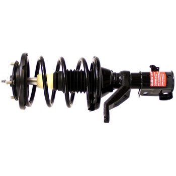 Suspension Strut and Coil Spring Assembly