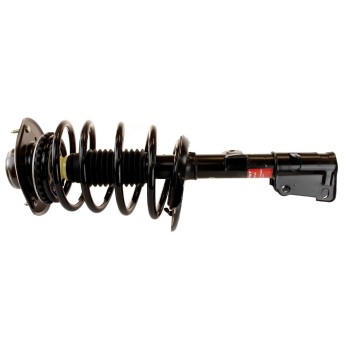 Suspension Strut and Coil Spring Assembly