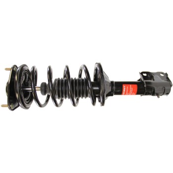 Suspension Strut and Coil Spring Assembly