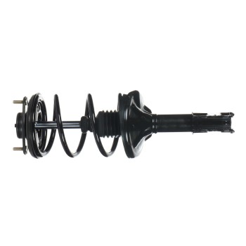 Suspension Strut and Coil Spring Assembly