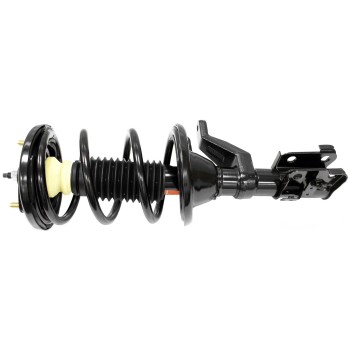Suspension Strut and Coil Spring Assembly