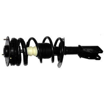 Suspension Strut and Coil Spring Assembly