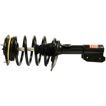 Suspension Strut and Coil Spring Assembly