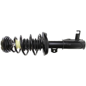 Suspension Strut and Coil Spring Assembly